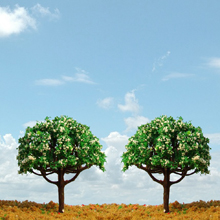 model trees